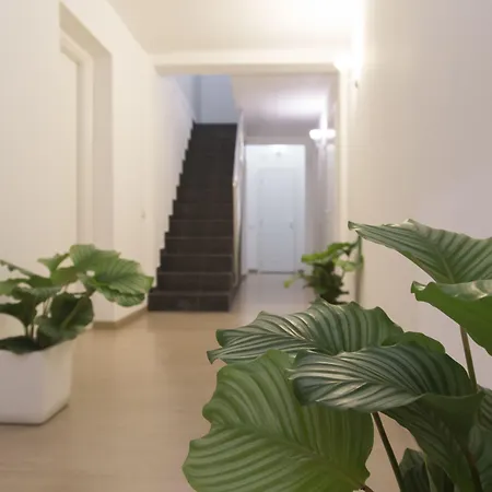 게스트하우스 Suite Inn Catania 카타니아