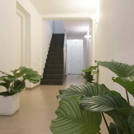 Suite Inn Catania Casa de hóspedes 3*